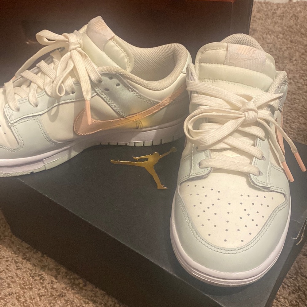 Nike Jordan shoes